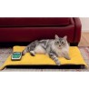 Globus MagnetoVet 200  per cani, gatti e cavalli con Cuccia Linea Veterinaria